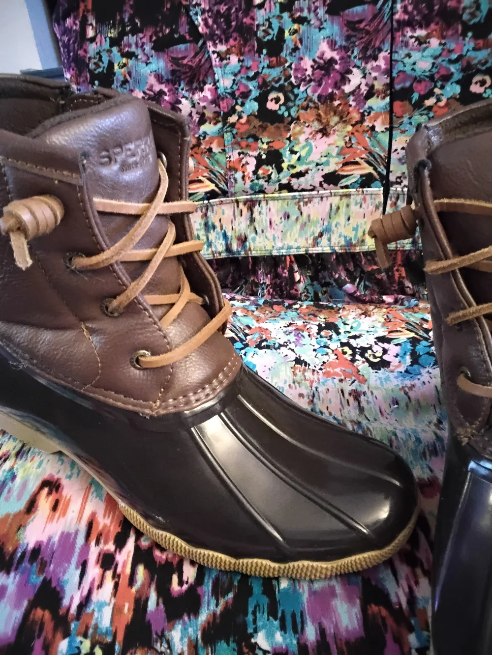 Sperry brown lace
